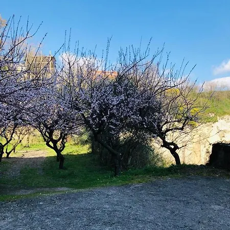 La Casa Nel Parco Bed & Breakfast Neapol