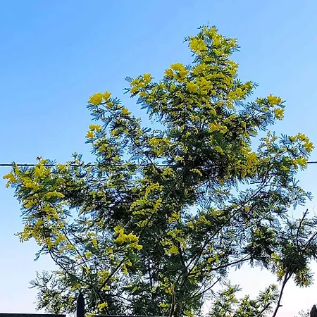 La Casa Nel Parco 4* Neapol