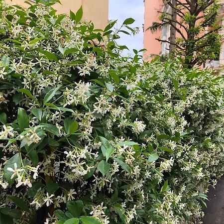 La Casa Nel Parco Bed & Breakfast