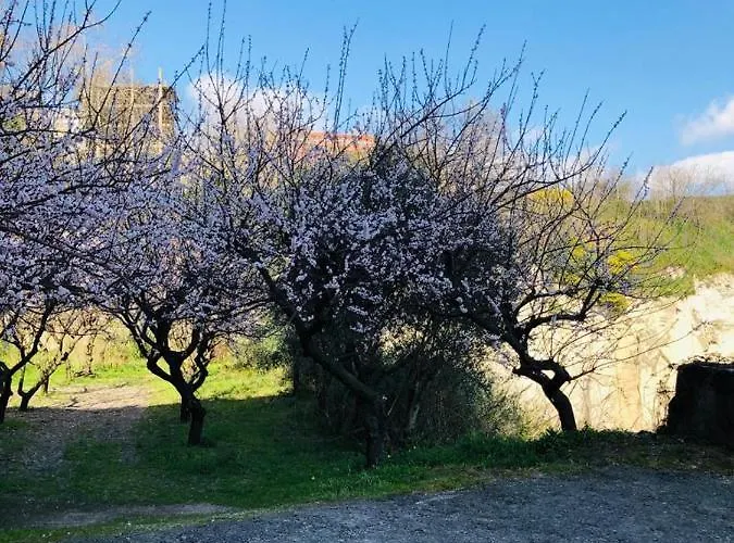 La Casa Nel Parco Bed and Breakfast Νάπολη